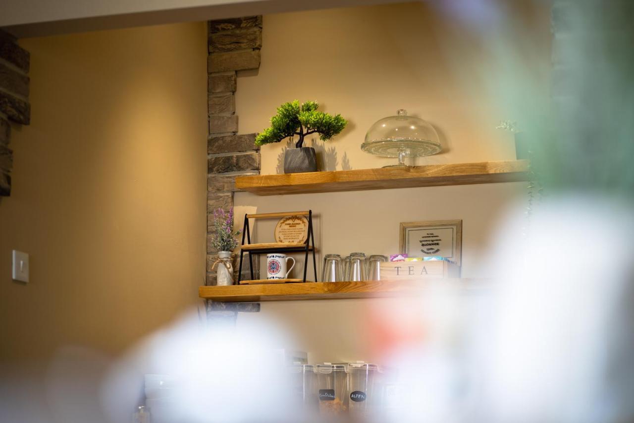 Sleepy Puffin Guest House テンビー エクステリア 写真
